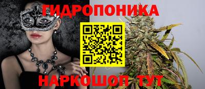 бошки Будённовск