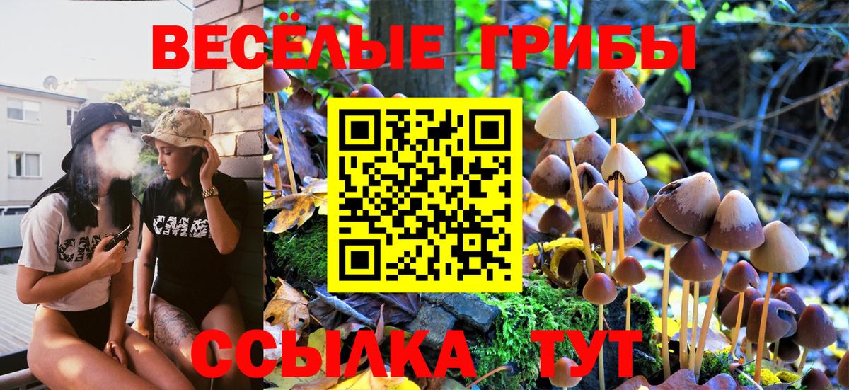 Псилоцибиновые грибы ЛСД Крымск