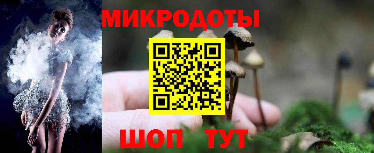 где купить наркоту  Псилоцибиновые грибы Psilocybine cubensis  Вход с VPN  Крымск 